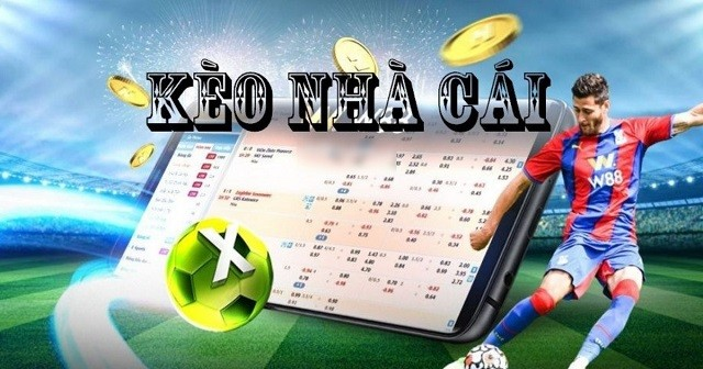 Cân nhắc khi cược kèo nhà cái