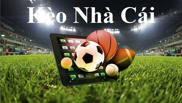 Những yếu tố cần lưu ý khi xem kèo nhà cái hôm nay