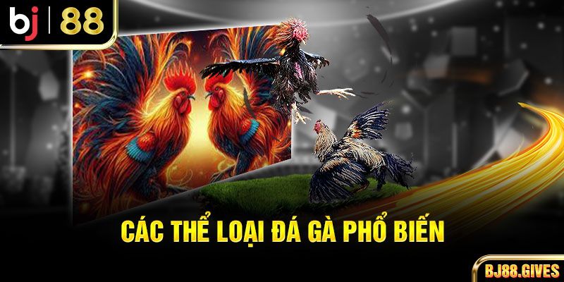 Các loại hình Đá gà BJ88