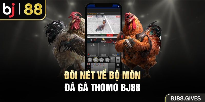 Đôi nét về đá gà thomo Bj88