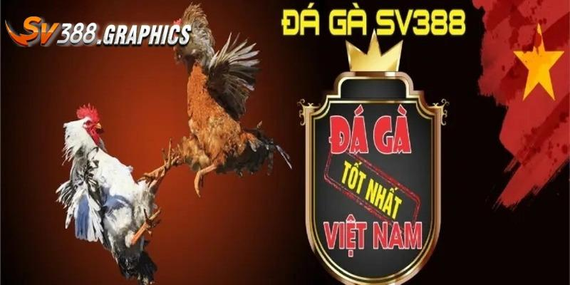 Vì sao nên chọn link SV388 mới nhất?