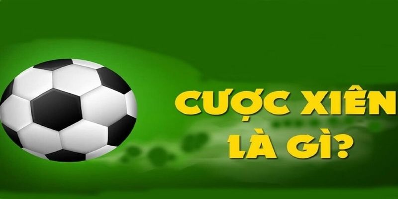 Kinh nghiệm chinh phục cược xiên thắng lớn từ cao thủ