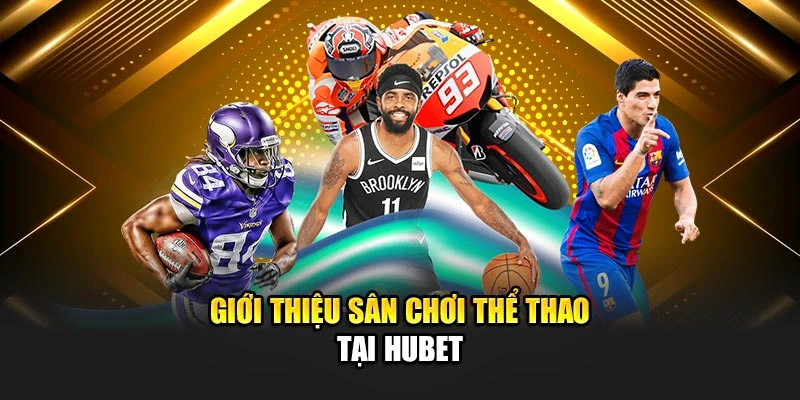 Giới thiệu sân chơi thể thao tại Hubet